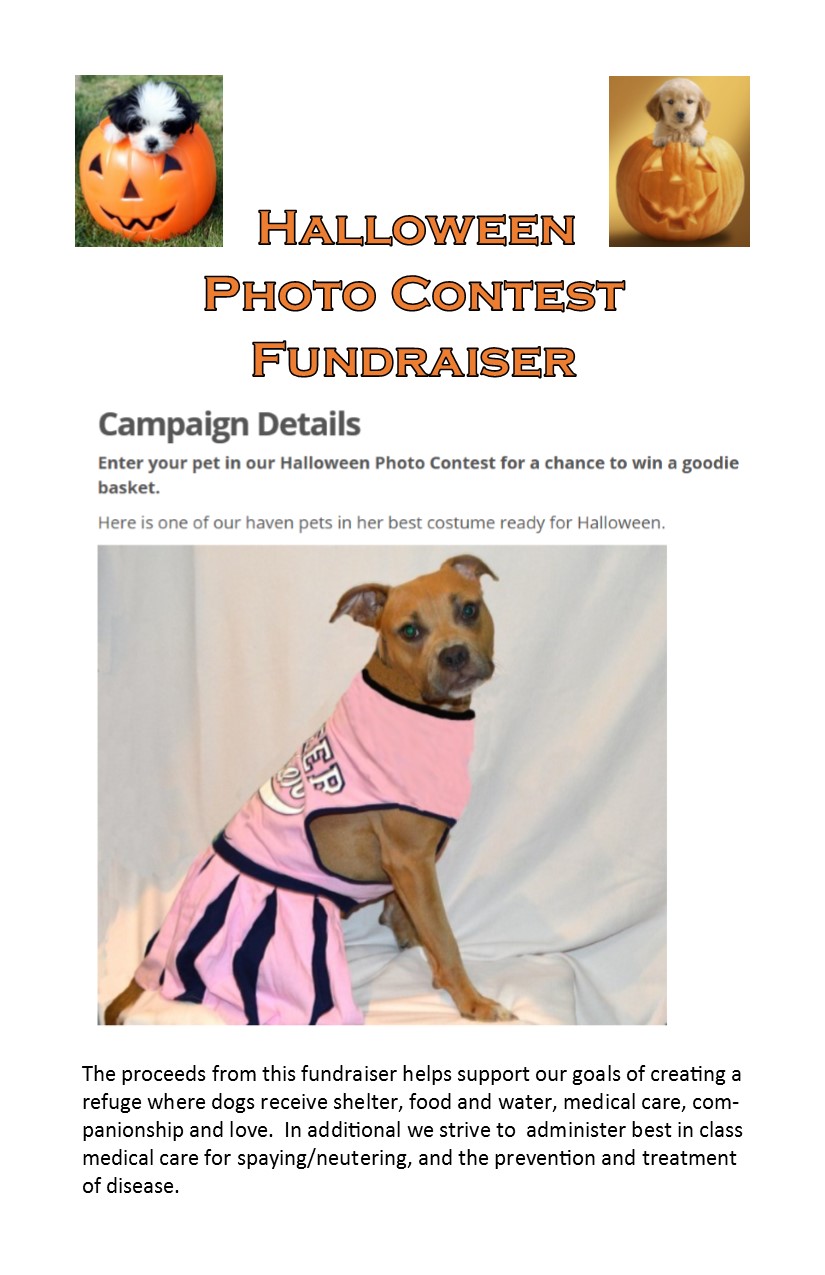 halloween contest flyer 2016 i heart dogs rescue and animal haven